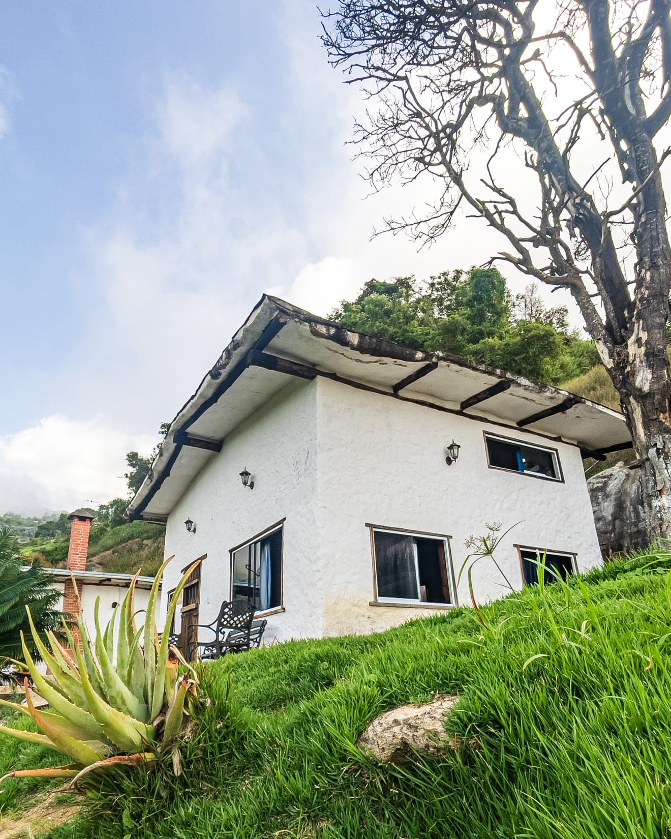 Sobre la ladera de grama, la fachada blanca de la cabaña con un agave en primer plano