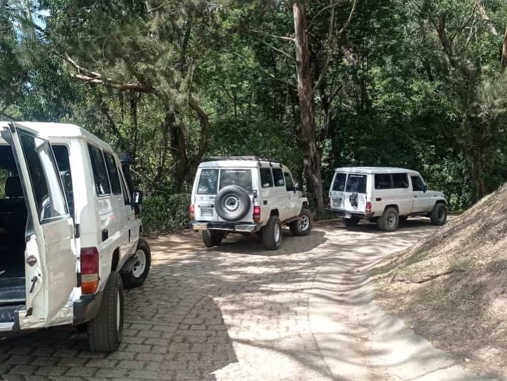 Tres jeeps 4x4 blancos estacionados en un camino de tierra entre árboles, en la vía de subida a Galipán, El Ávila