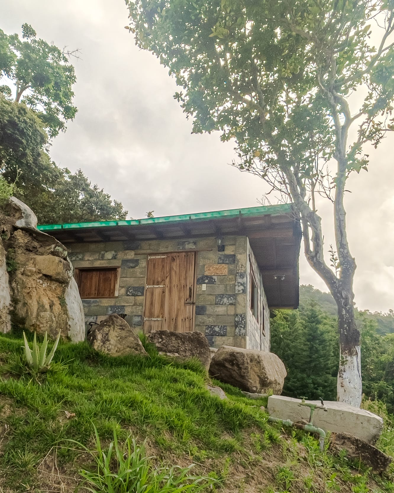 La cabaña de piedra asoma entre rocas y árboles en la ladera, con su techo verde bajo un cielo nublado