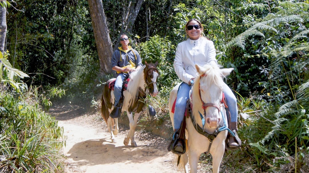 Una mujer y un hombre montan a caballo por un camino de tierra entre helechos y árboles en Galipán.