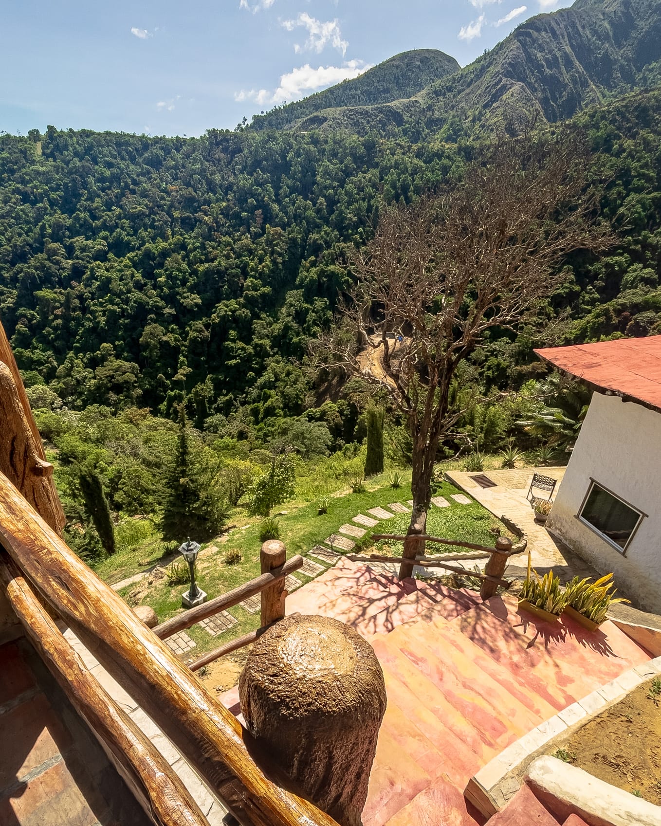 Desde el balcón se ven los caminos rosados del jardín, un árbol seco y la montaña boscosa detrás