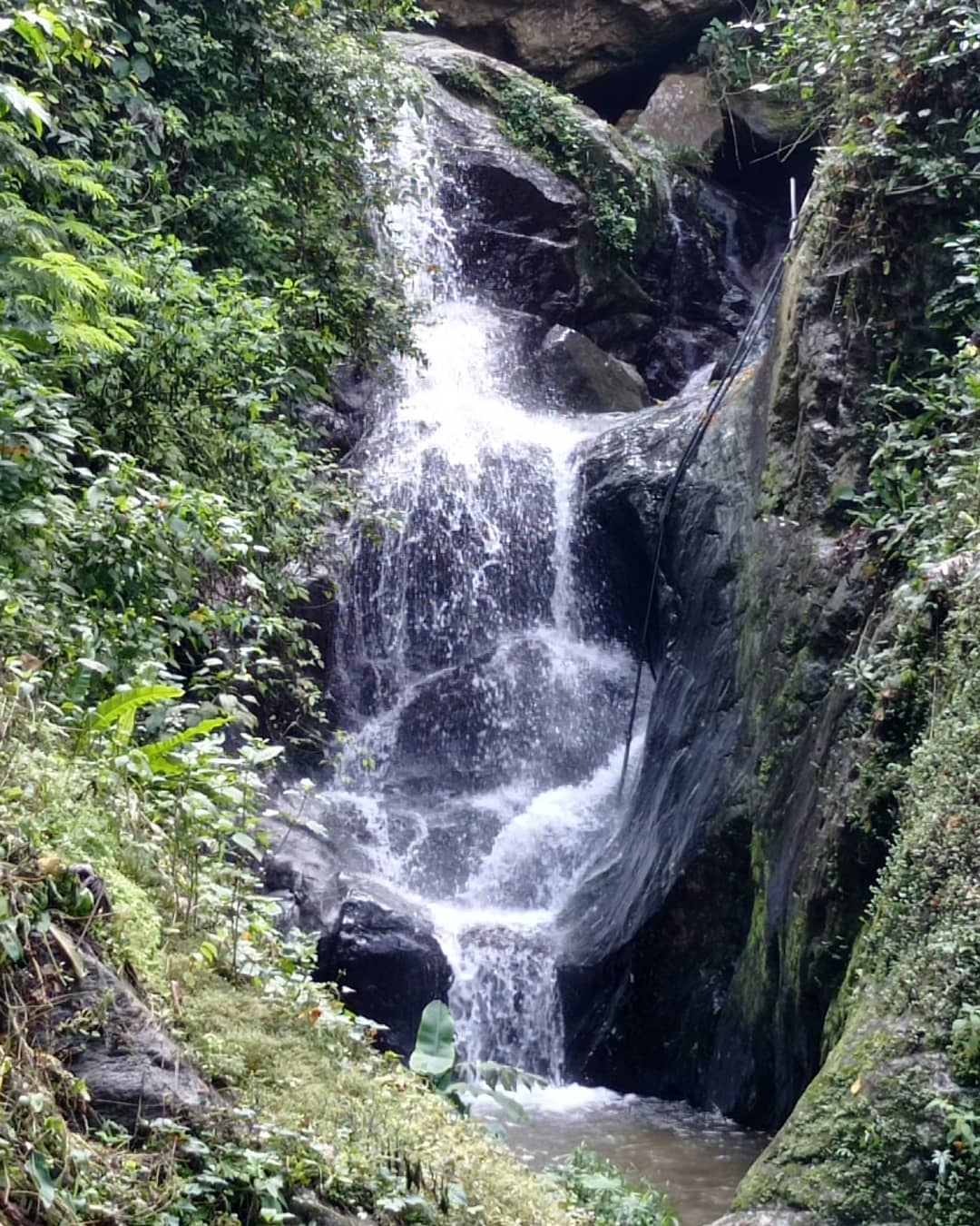 Cascada del río San José cayendo entre rocas oscuras y helechos en el bosque nublado de Galipán, El Ávila