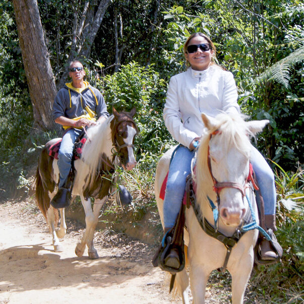 Visitantes disfrutando de un paseo a caballo en Galipán con vistas al Mar Caribe y montañas.