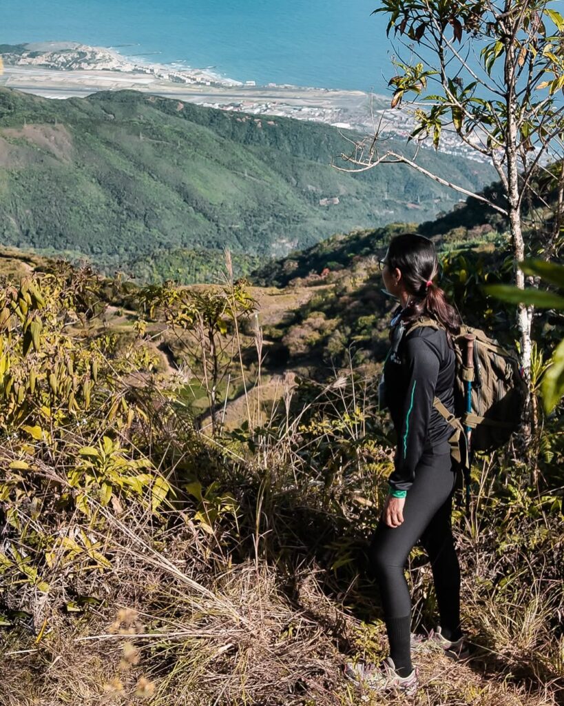 Senderistas cruzando un bosque húmedo hacia el Picacho de Galipán entre eucaliptos y neblina
